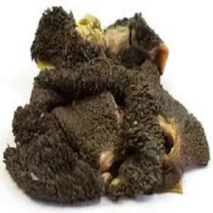 Beef Tripe/kg
