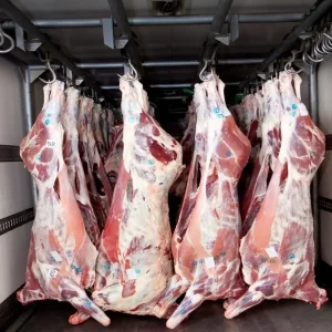 Full Beef Carcass/kg