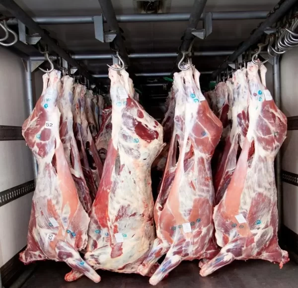 Full Beef Carcass/kg